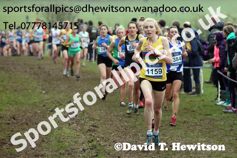 Senior womens Inter Counties Cross Country, Prestwold Hall, Loughborough. Photo: David T. Hewitson/Sports for All Pics